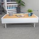 Idiya KENTUCKY coffee table with two drawers