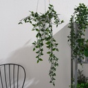 [403.495.45] IKEA FEJKA artificial potted plant in/outdoor/hanging 9 cm